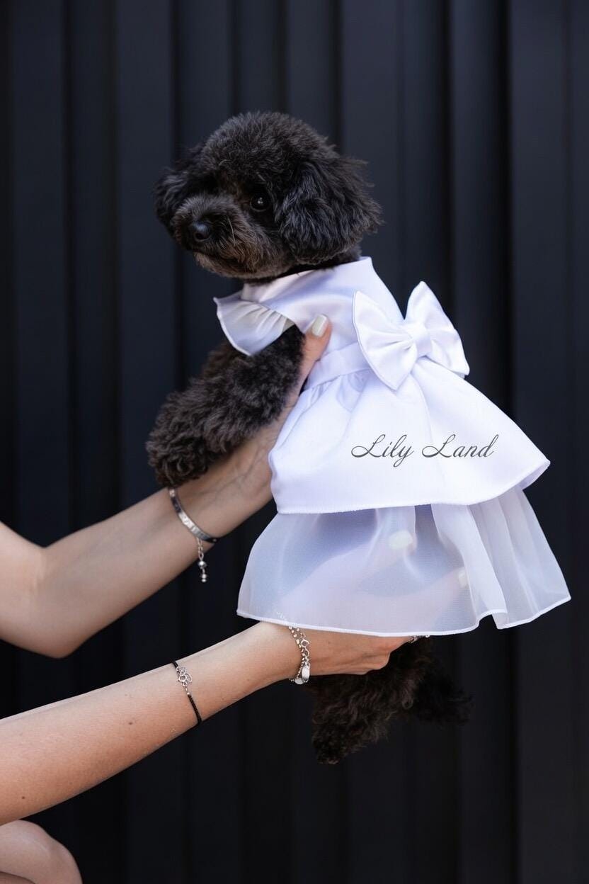 Sage Green Small Dog Dress - Etsy