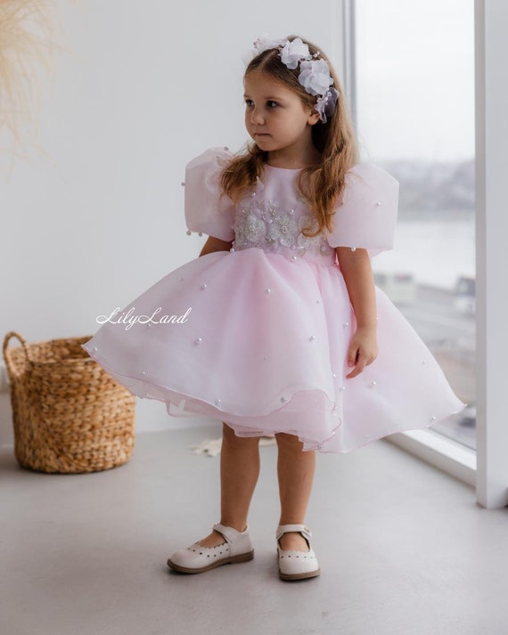 Flower Girl Dress, Light Blush Pink Birthday Baby Dress With Butterflies, Tutu Puffy Prom Gown, Princess Pageant Occasion, Doll Cake Smash Flower Girl Dress, Light Blush Pink Birthday Baby Dress With Butterflies, Tutu Puffy Prom Gown, Princess Pageant Occasion, Doll Cake Smash