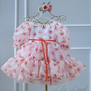 Tutu Puffy Flower Girl Dress, Floral Prom Ball Gown Dresses, Smash Cake Photoshoot, Special Occasion First Birthday Baby Party Dance Apparel