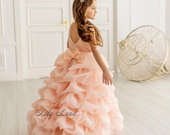 Blush Pink Bridesmaid Flower Girl Dress, Birthday Party Baby Dress, Prom Ball Dance Gown, Wedding Princess Look, Graduation Pageat Occasion