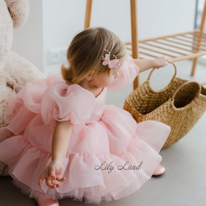 May include: A young girl wearing a pink tulle dress with a butterfly hair clip. The dress has multiple layers of tulle and is very puffy. The girl is holding a wicker basket.