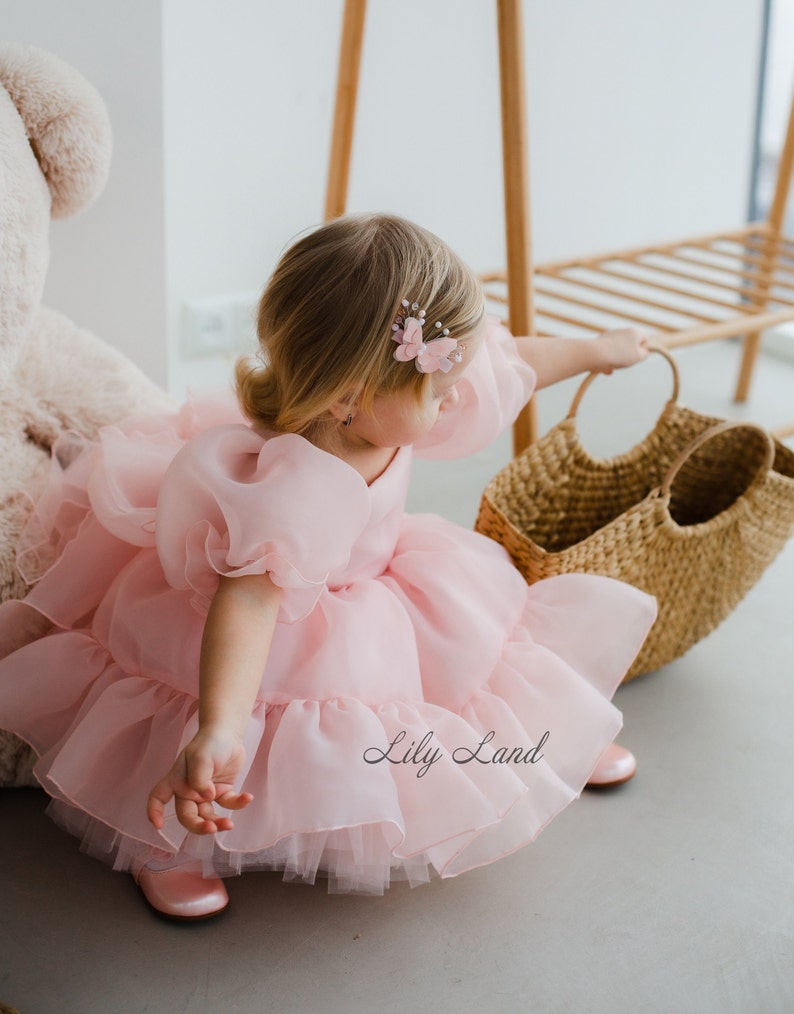 May include: A young girl wearing a pink tulle dress with a butterfly hair clip. The dress has multiple layers of tulle and is very puffy. The girl is holding a wicker basket.