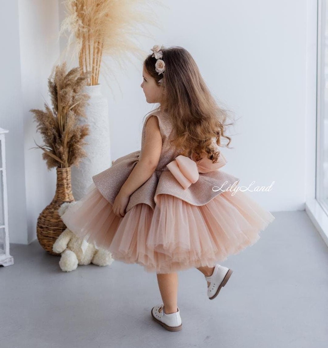 Beige Sparkling Birthday Party Baby Dress, Flower Girl Dress, Tutu ...