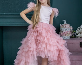 Blozen roze verjaardag partij babyjurk, bloemenmeisje jurk, gezwollen jurk met trein, baby tule jurk, prom baljurk, prinses fotoshoot jurk