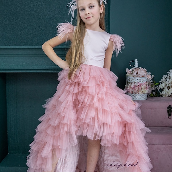 Blush Pink Birthday Party Baby Dress, Flower Girl Dress, Puffy Dress With Train, Baby Tulle Dress, Prom Ball Gown, Princess Photoshoot Dress