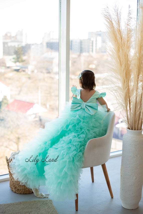 Ready to ship-size 9-12- Mint Birthday Baby Dress, Flower Girl Dress, Prom Ball Gown, Wedding Guest Junior Bridesmaid Toddler Princess Dress Ready to ship-size 9-12- Mint Birthday Baby Dress, Flower Girl Dress, Prom Ball Gown, Wedding Guest Junior Bridesmaid Toddler Princess Dress
