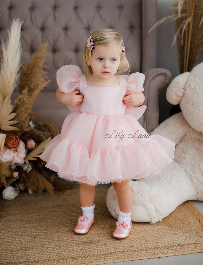 May include: A little girl wearing a pink tulle dress with puffed sleeves and a square neckline. She is standing on a rug with a white teddy bear in the background. The dress has a ruffled hem and the text "Lily Land" is visible on the dress.