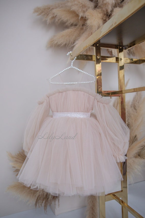 Beige Prom Ball Gown Dress, Tutu Toddler Puffy Baby Dress, Special Occasion, Flower Girl Dress, First Birthday Photoshoot, Long Sleeve