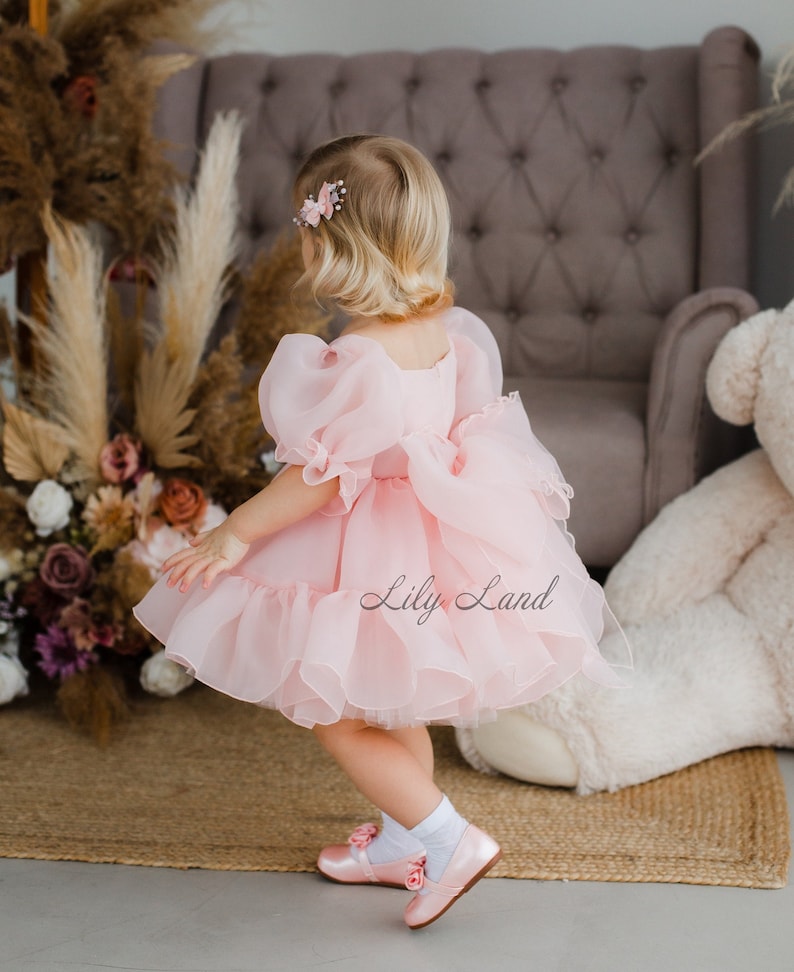 May include: A young girl wearing a pink tulle dress with puffed sleeves and a ruffled skirt. She is wearing pink shoes and has a flower hair clip in her hair. The text "Lily Land" is visible on the dress.