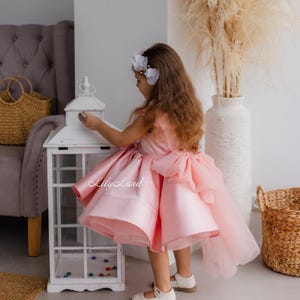 Pink Brocade Birthday Baby Dress, Wedding Guest, Flower Girl Dress, Prom Graduation Dance Gown, Photoshoot Princess Bridesmaid Outfit