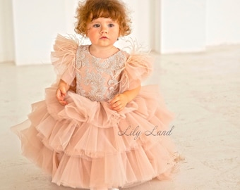 Champagne Birthday Girl Dress, Flower Girl Dress With Train, Ruffles Tulle Dress, Feathers Short Sleeve, Special Occasion Toddler Gown