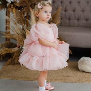 May include: A young girl wearing a pink tulle dress with puffed sleeves and a ruffled skirt. She is wearing pink shoes and has her hair styled with pink butterfly clips. The dress has the text "Lily Land" on the skirt.
