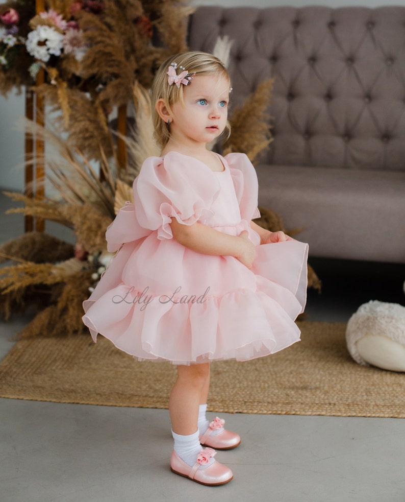 May include: A young girl wearing a pink tulle dress with puffed sleeves and a ruffled skirt. She is wearing pink shoes and has her hair styled with pink butterfly clips. The dress has the text "Lily Land" on the skirt.