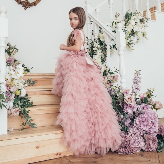 Birthday Party Girl Dress, Flower Girl Dress, Puffy Dress With