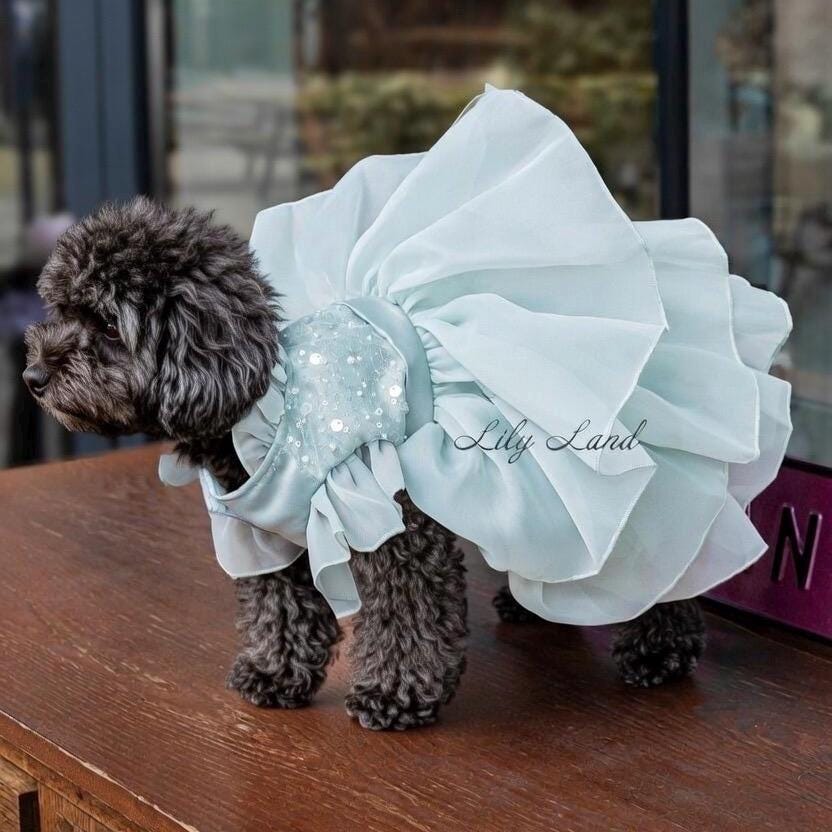 Sage Green Small Dog Dress - Etsy