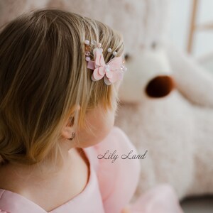 May include: A young girl with blonde hair wearing a pink dress with a pink butterfly hair clip. The text "Lily Land" is visible in the image.