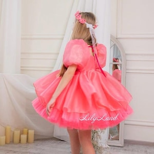 Pink Prom Ball Gown Dress, First Birthday Party, Flower Girl Dress, Pageant Toddler Baby Dress, Smash Cake Photoshoot, Organza Dance Dress
