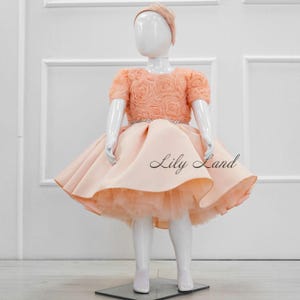 Peach Puffy Roses Birthday Party Dress, Prom Dance Special Occasion Gown, Tutu Toddler Baby Pageant Dress, Graduation Flower Girl Apparel