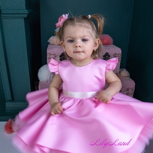 Pink Birthday Party Dress, Prom Ball Gown, Tutu Toddler Baby Girl Special Occasion, Flower Girl Dress, First Birthday, Princess Photoshoot