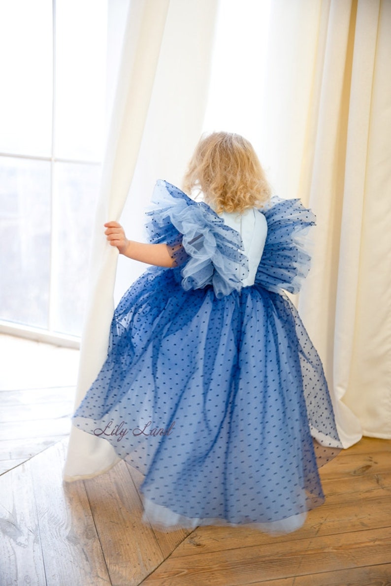 Baby Birthday Dress Polka Dot Tulle Dress First Birthday Etsy