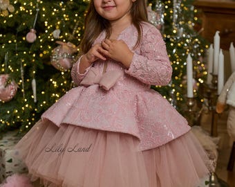 Blush Pink Lace Long Sleeve Dress, Christmas Holiday Photoshoot Outfit, Birthday Winter Party Baby Gown, Flower Girl Wedding, Pageant Prom