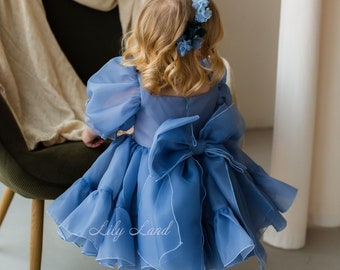 READY TO SHIP, Birthday Party Dress, Tutu Pageant Puffy Toddler Dress, Flower Girl Dress, Prom Ball Gown, Special Occasion, Baby Photoshoot
