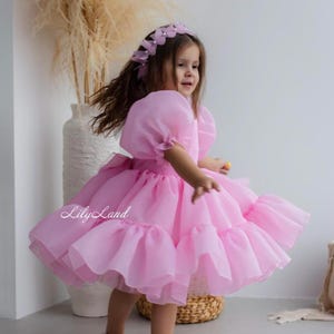 Pink Birthday Party Dress, Tutu Pageant Puffy Dress, Flower Girl Dress, Prom Gown Special Occasion Baby Dress, Smash Cake Photoshoot