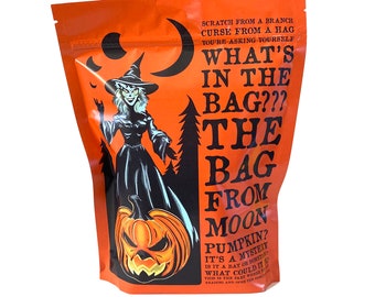 Custom Mystery Bag by MoonPumpkin