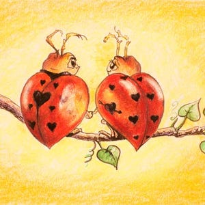 Love Bugs