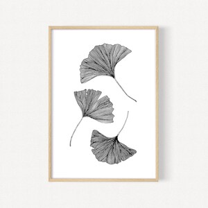 Puede incluir: Un dibujo en blanco y negro de cuatro hojas de ginkgo en un estilo minimalista. Las hojas est&aacute;n dispuestas verticalmente en un dise&ntilde;o simple y elegante.
