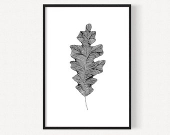 Fig Leaf Art Print | Modern Boho Wall art  | Fig Leaf Illustration | Monochrome