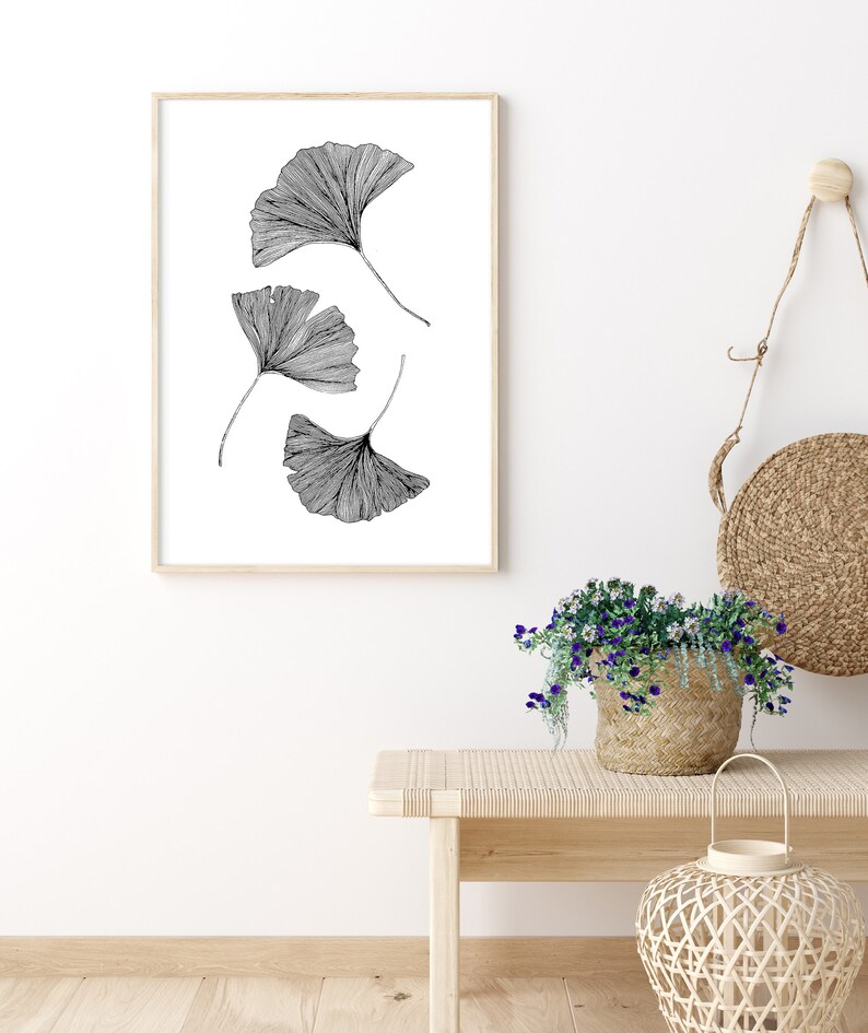 Puede incluir: Un dibujo en blanco y negro de cuatro hojas de ginkgo en un marco de madera simple. El marco est&aacute; colgado en una pared blanca sobre un banco de madera con una cesta tejida llena de flores moradas.