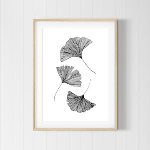 Puede incluir: Un dibujo en blanco y negro de cuatro hojas de ginkgo, enmarcado en un marco de madera claro.