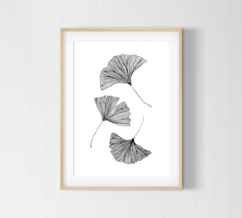 Puede incluir: Un dibujo en blanco y negro de cuatro hojas de ginkgo, enmarcado en un marco de madera claro.