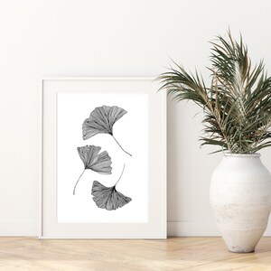 Puede incluir: Una ilustraci&oacute;n en blanco y negro de cuatro hojas de ginkgo en un marco blanco. Las hojas est&aacute;n dibujadas con un estilo detallado y realista y est&aacute;n dispuestas en un dise&ntilde;o simple y elegante.