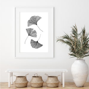 Puede incluir: Una ilustraci&oacute;n en blanco y negro de cuatro hojas de ginkgo en un marco blanco colgado en una pared blanca. Un banco blanco con tres cestas tejidas se encuentra frente a la pared. Una planta en maceta con hojas verdes est&aacute; a la derecha de la imagen.