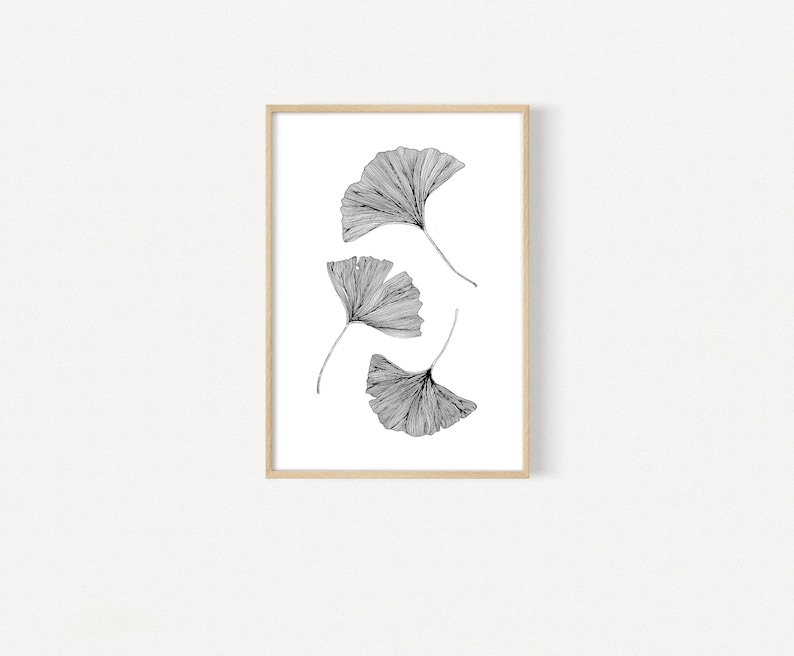 Puede incluir: Un dibujo en blanco y negro de cuatro hojas de ginkgo en un estilo minimalista. Las hojas est&aacute;n dispuestas verticalmente en un dise&ntilde;o simple y elegante.