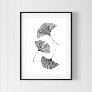 Puede incluir: Dibujo en blanco y negro de cuatro hojas de ginkgo, impreso en papel blanco y enmarcado en un marco negro.
