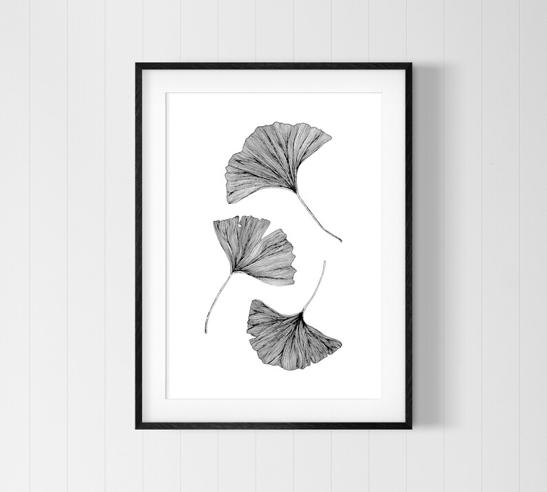 Puede incluir: Dibujo en blanco y negro de cuatro hojas de ginkgo, impreso en papel blanco y enmarcado en un marco negro.