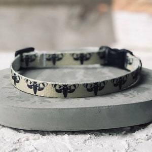 Death Head Moth Cat Collar