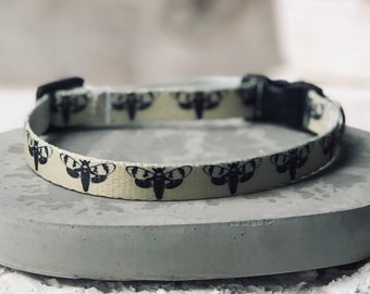 Death Head Moth Cat Collar