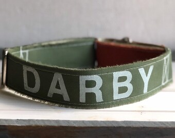 Hot Springs Dog Collar
