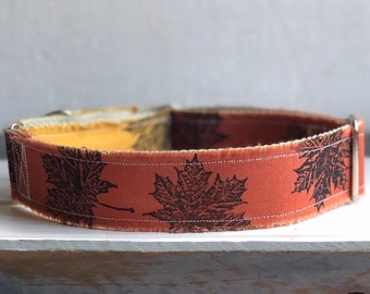 Autumn Dog Collar