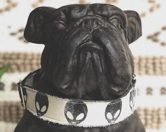 Roswell Dog Collar