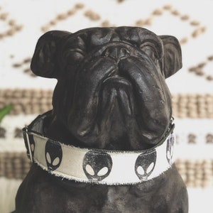 Cool Dog Stuff Etsy