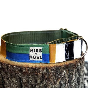 Color Block Dog Collar Earth Tones