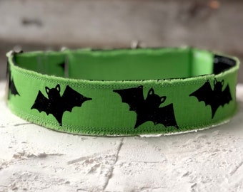 Austin Dog Collar