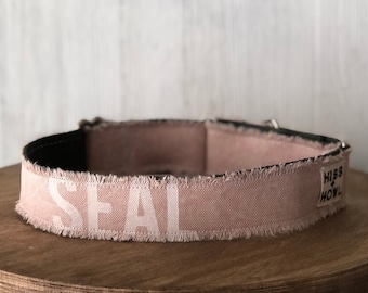 Gulf Shores Dog Collar