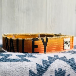 May include: Orange and yellow striped dog collar with the name "BAILEY" printed in black and the words "HISS HOWL" printed in white on the side.