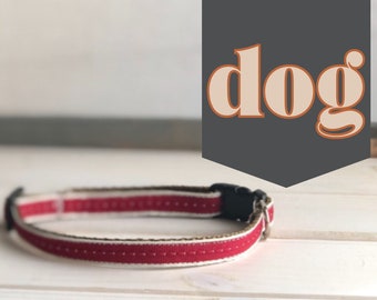 Hot Springs Tiny Dog Collar